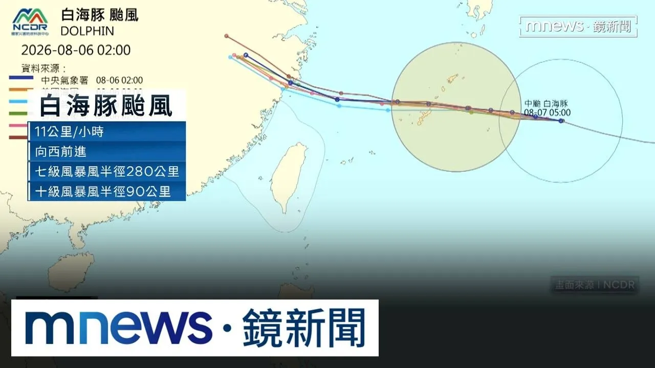 白海豚亂父親節！氣象署發布「海警」　北部海面警戒中
