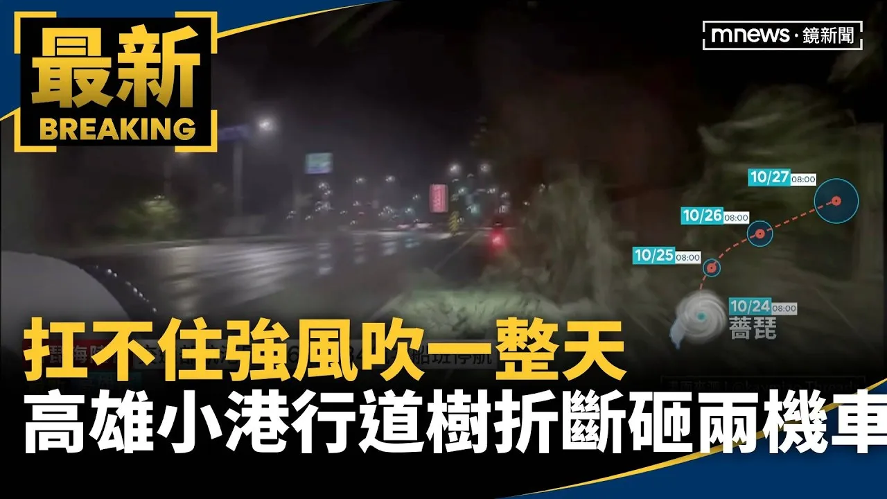 扛不住強風吹一整天　高雄小港行道樹折斷砸兩機車