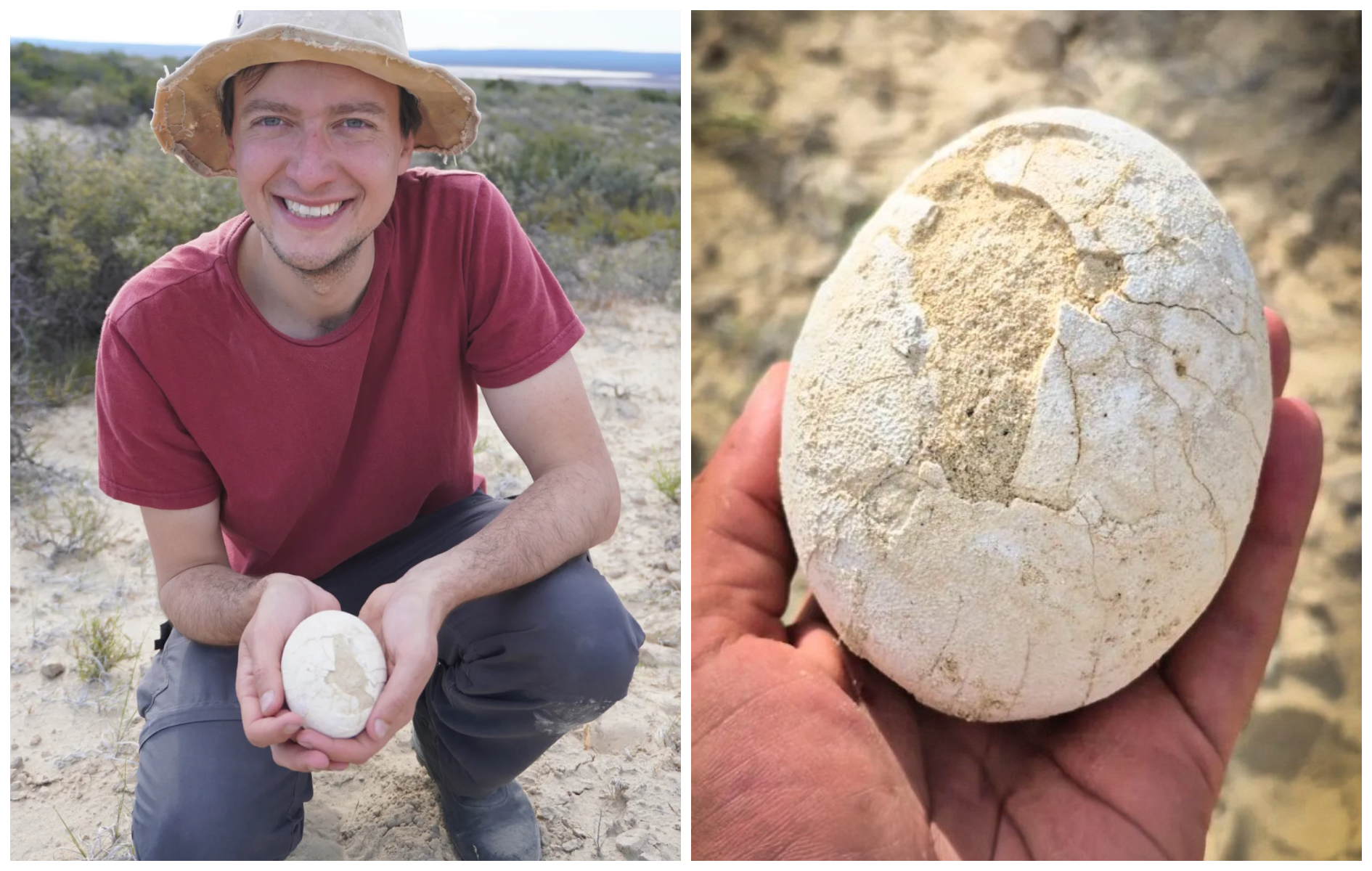 考古團隊中的Matias Motta博士捧著這顆漂亮的龍蛋。(翻攝_matiasmotta IG、federico.agnolin IG)