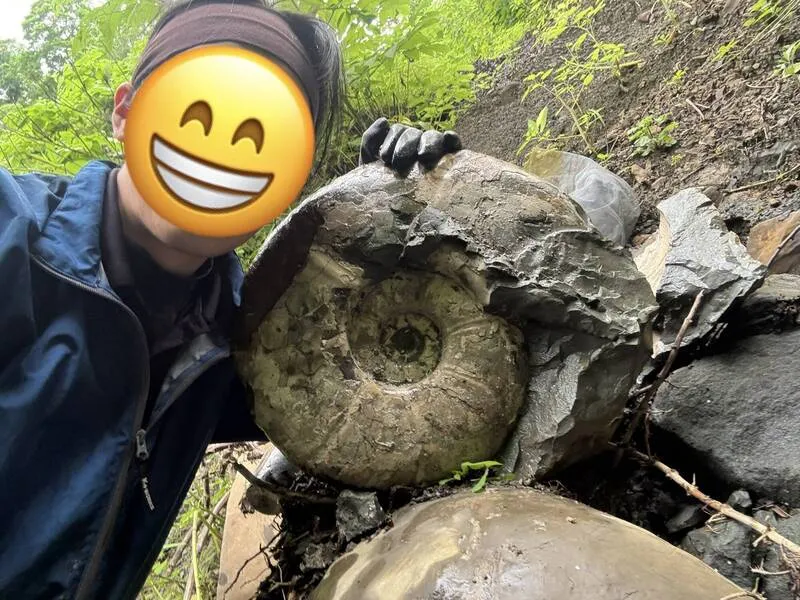 男赴北海道親手挖「巨大化石」！照片轟動399萬人　全網羨慕：真正的人生勝利組