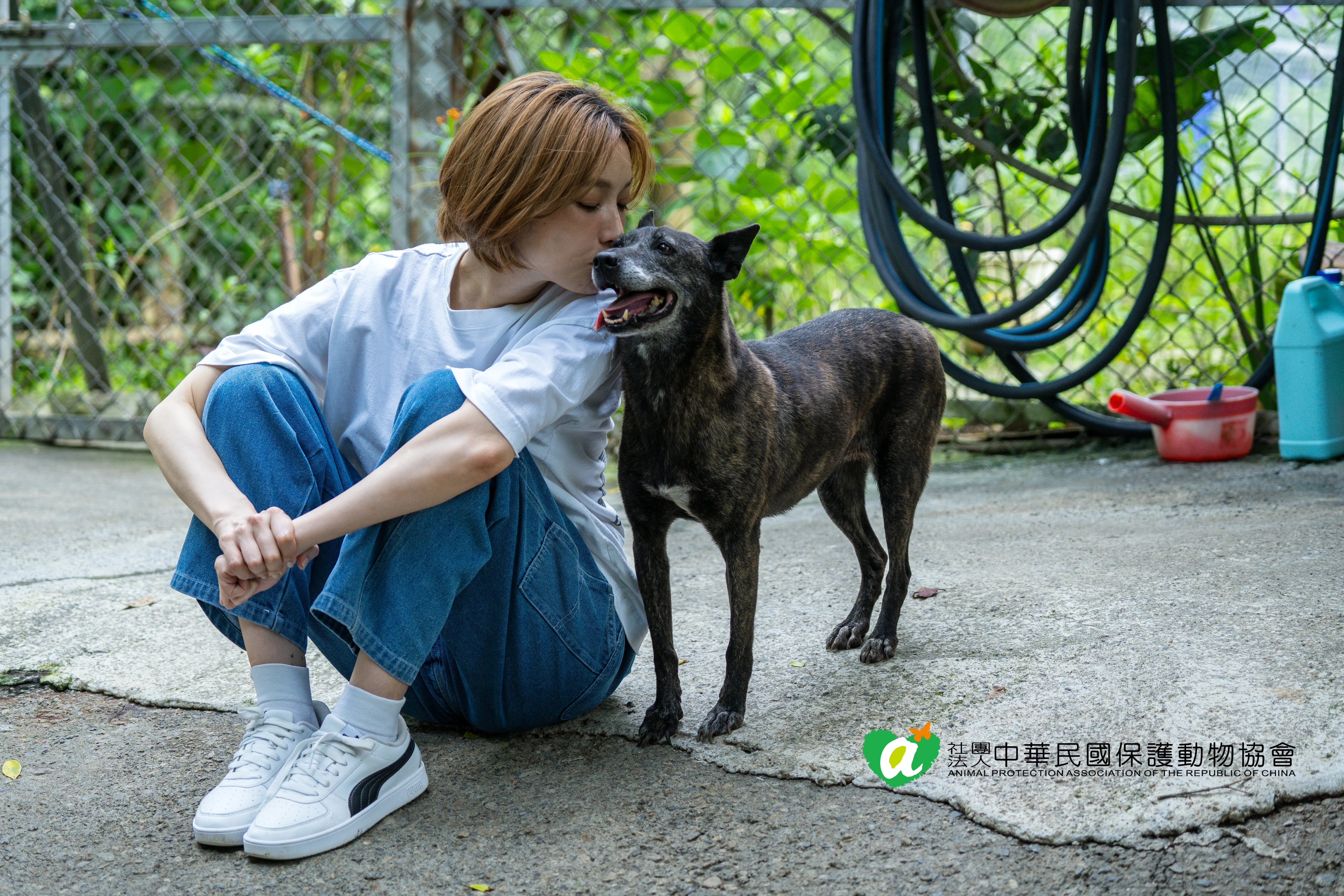 蔡淑臻克服童年「被大狗追」噩夢！走進八里保育場洗狗餵食
回想愛犬緣分:是腸腸治癒了我