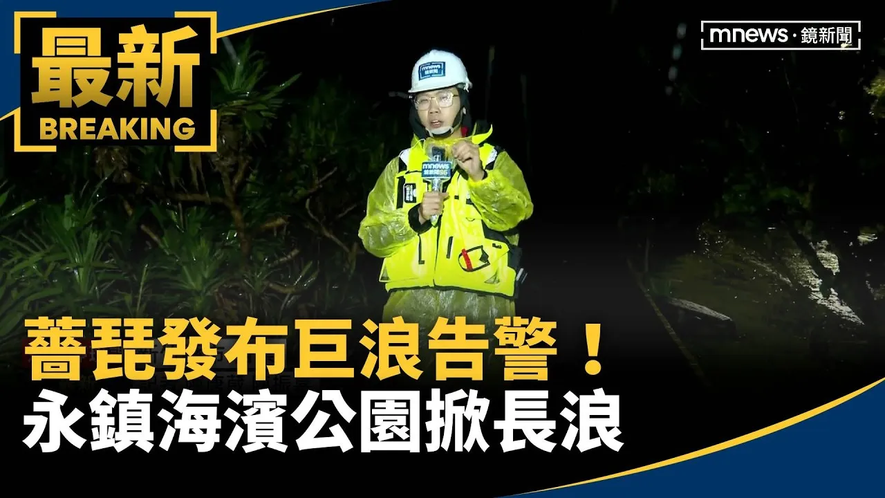 薔琵發布巨浪告警！　永鎮海濱公園掀長浪