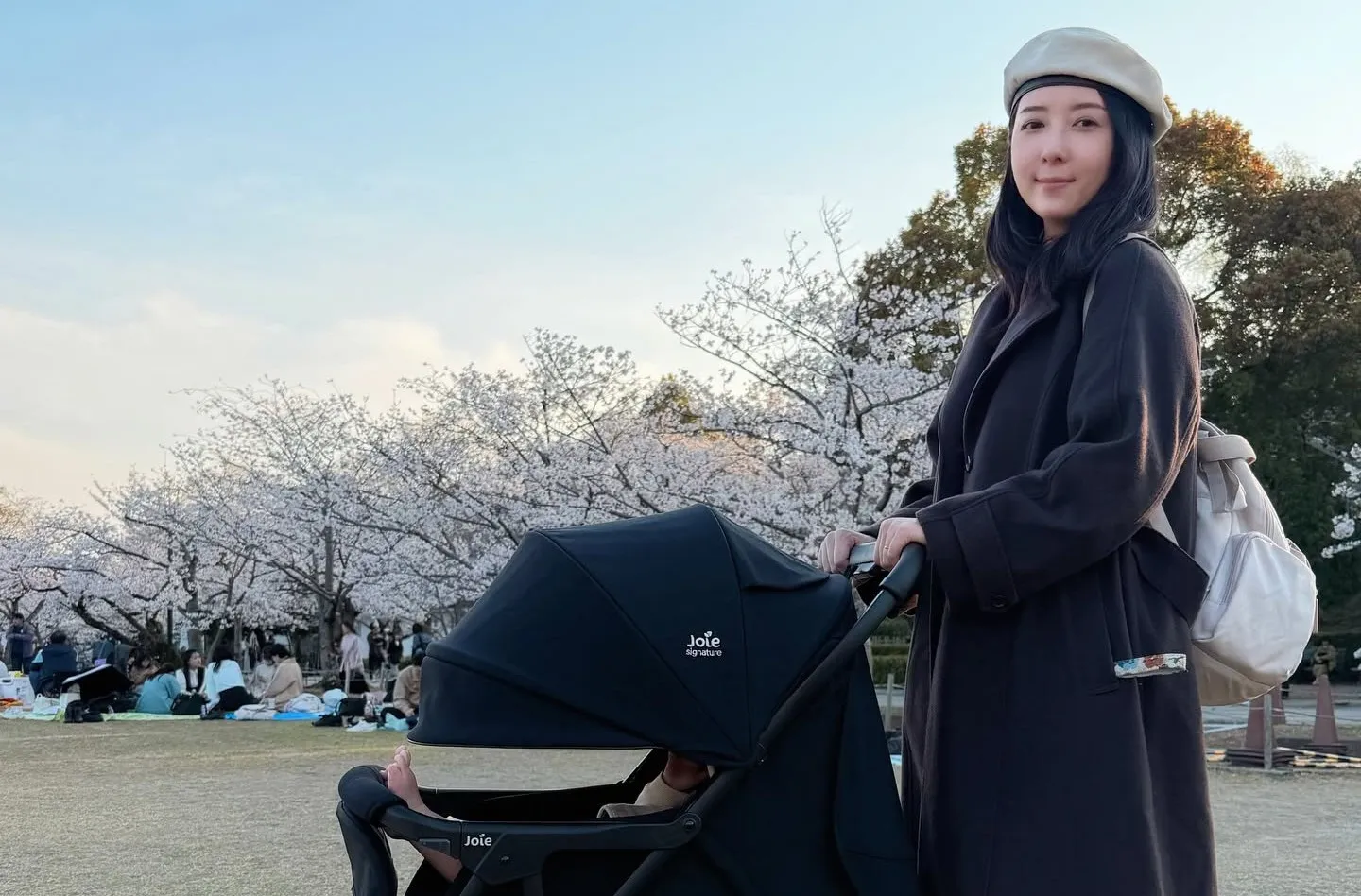 快訊／五熊證實獲釋！雙語道歉「不會再犯了」　聲明全文曝光