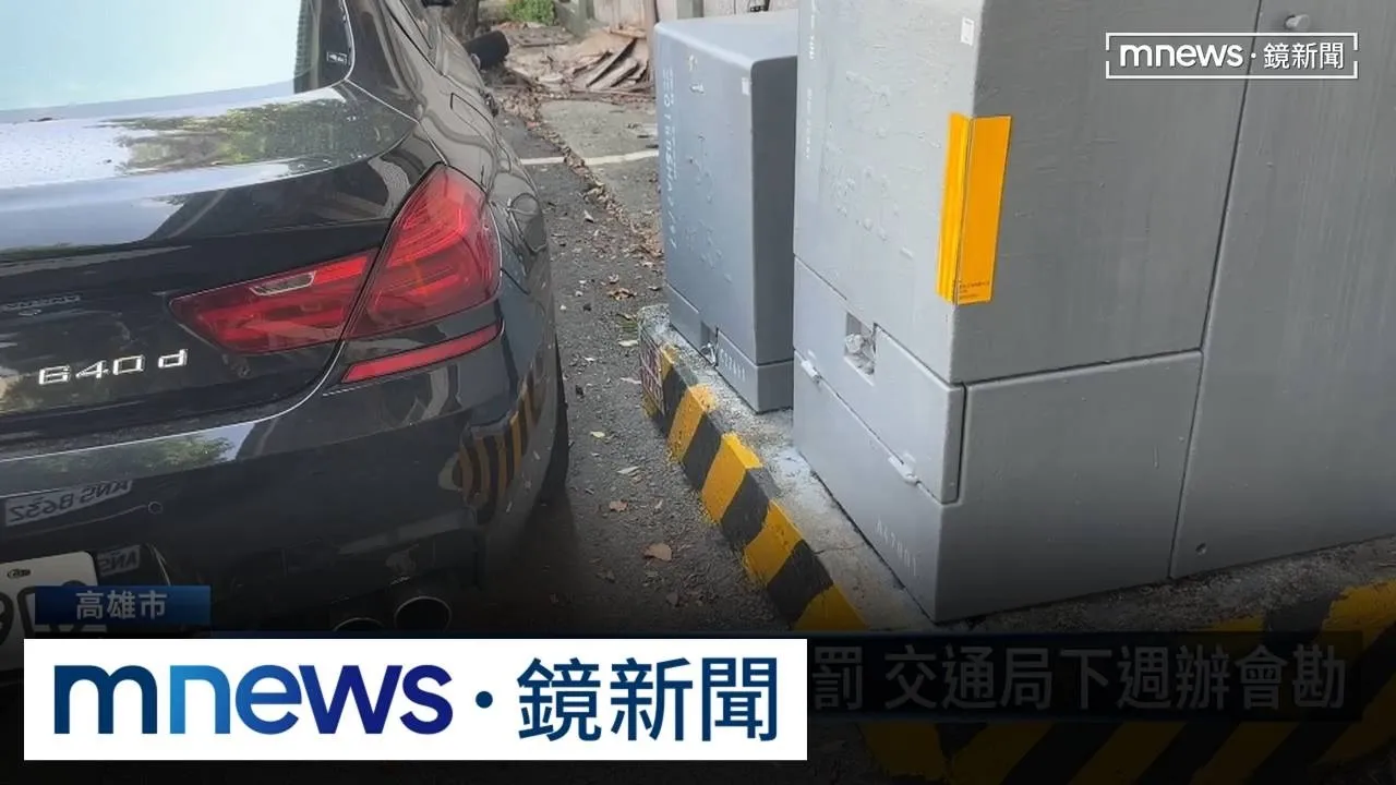 路邊停車格有大樹　駕駛車輪被迫停在車格外