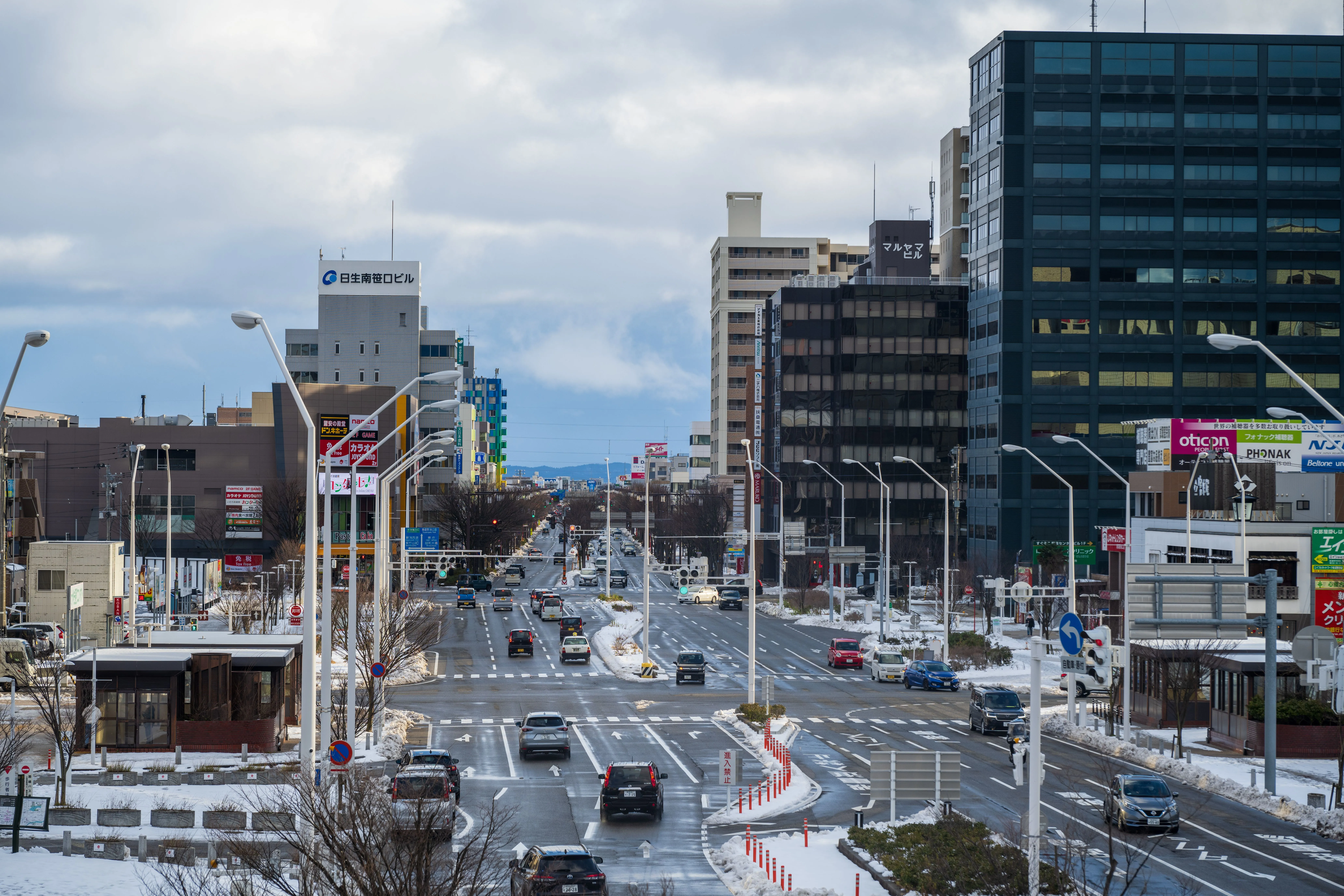 北海道真的沒蟑螂？都市傳說破滅　札幌等地小強數量暴增...專家揭「2大殺手級原因」