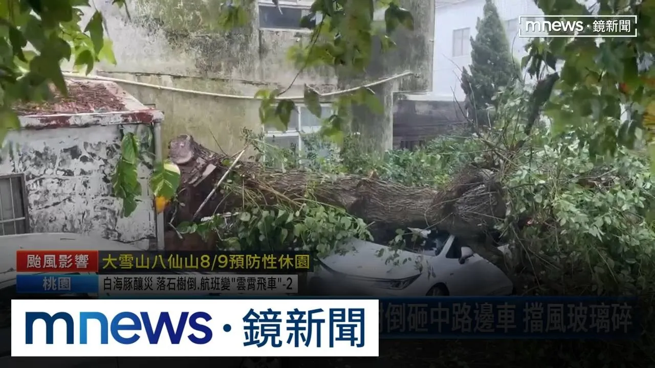 白海豚「外圍環流」風勢強！　樹倒砸中路邊車　擋風玻璃碎