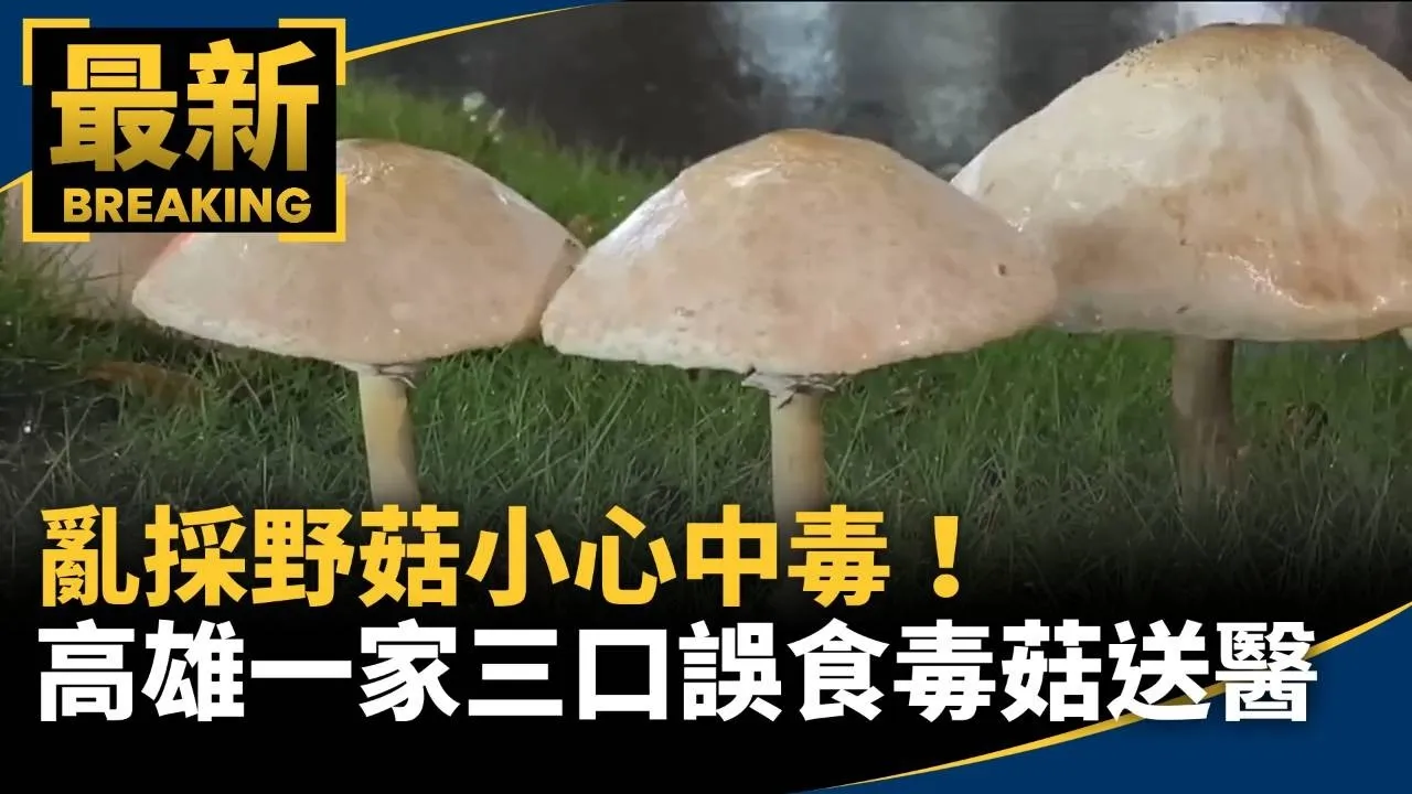 亂採野菇小心中毒！　高雄一家三口誤食毒菇送醫
