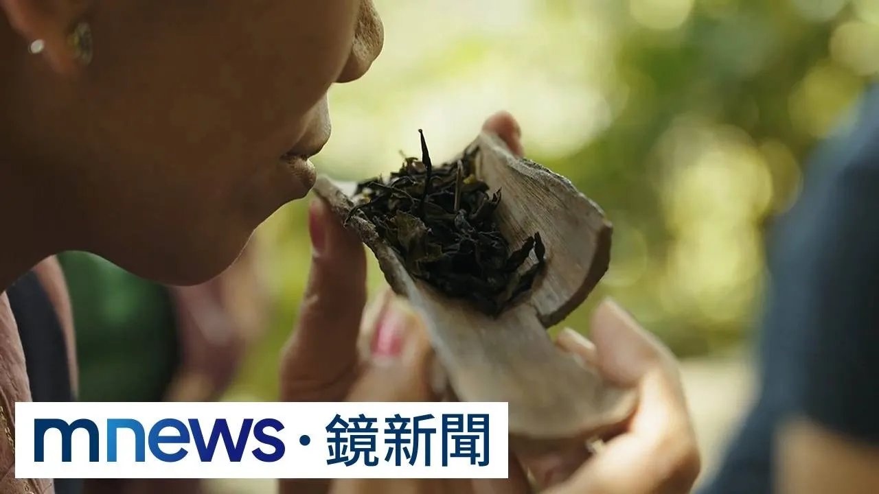 友善生態、創意思維翻轉農作　產地逆襲重生