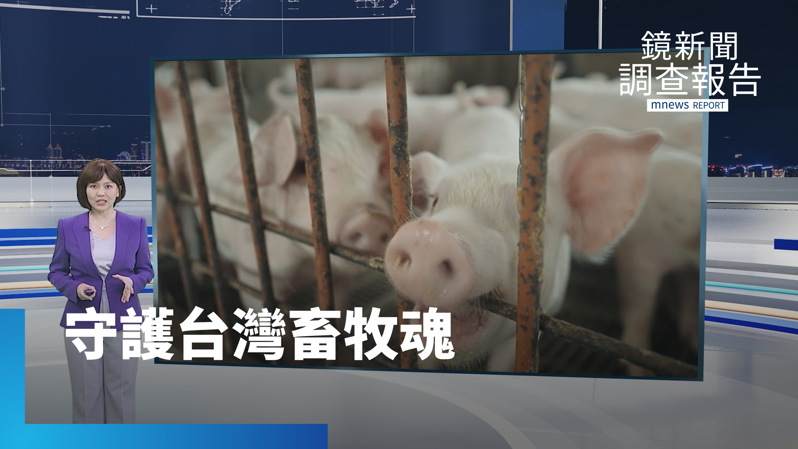 《守護台灣畜牧魂》全集 滷肉飯背後的科技革命!從世紀疫戰到綠色轉型 台灣豬三十年浴火重生 榮耀重回亞洲唯一「三大豬病非疫國」 產地到餐桌安心把關的蛻變之路