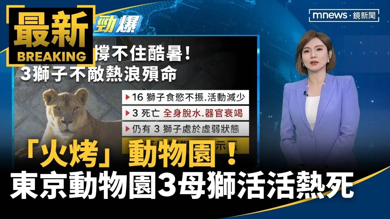 「火烤」動物園！　東京知名動物園3母獅活活熱死