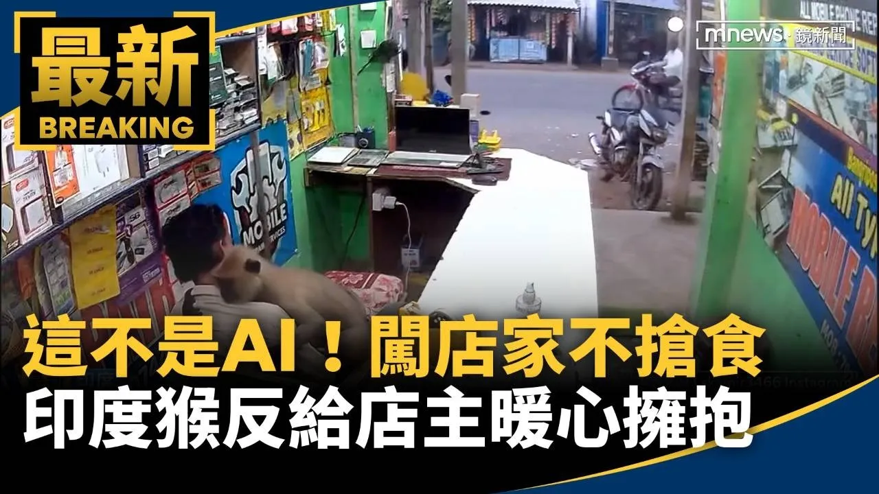 這不是AI！印度猴闖店家不搶食　反給店主暖心擁抱