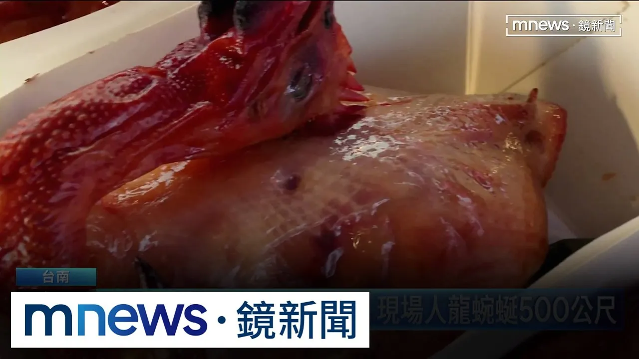 免費油亮烤雞、油飯大放送　「鍘美節」人龍蜿蜒500公尺