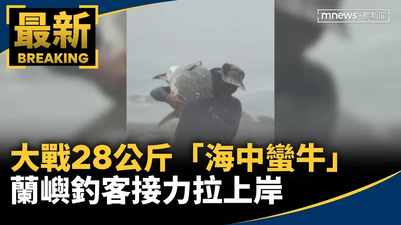 大戰28公斤「海中蠻牛」　蘭嶼釣客接力拉上岸