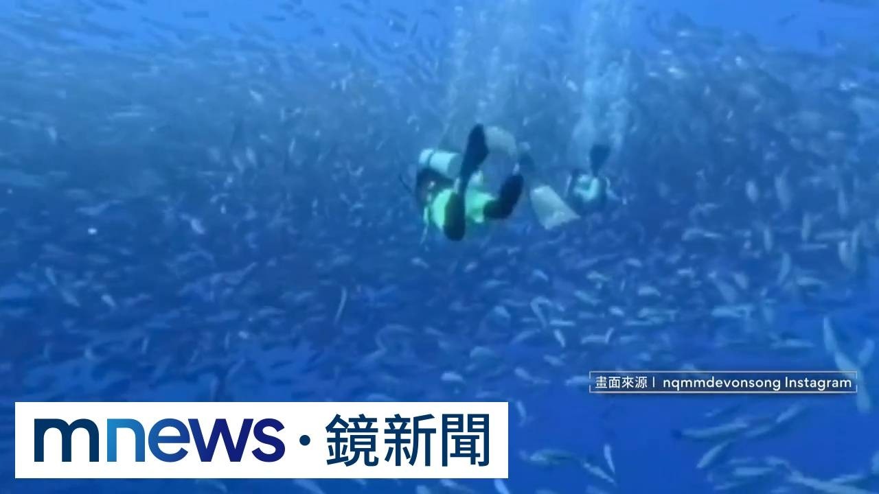深潛遭扯面鏡！　南拳媽媽彈頭怒控「水下蓄意謀殺」