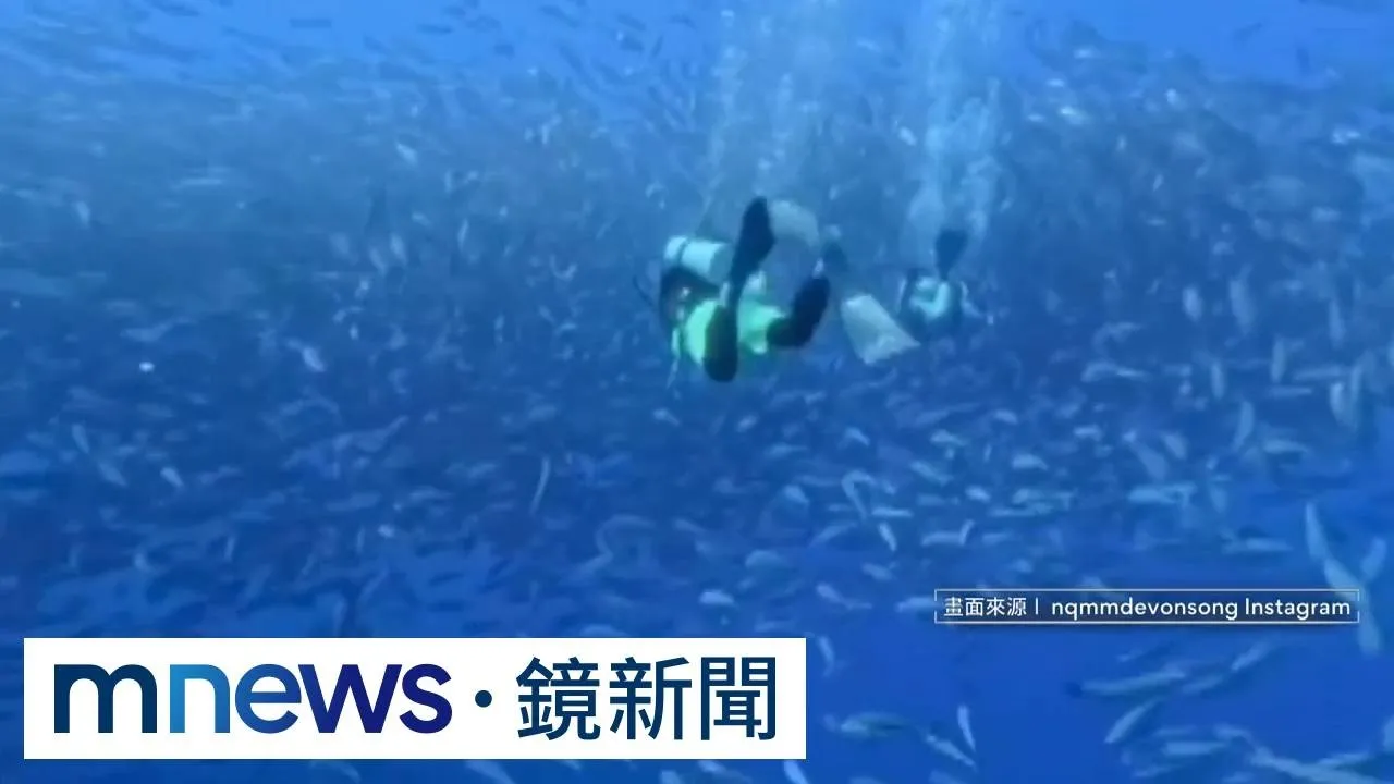 深潛遭扯面鏡！　南拳媽媽彈頭怒控「水下蓄意謀殺」