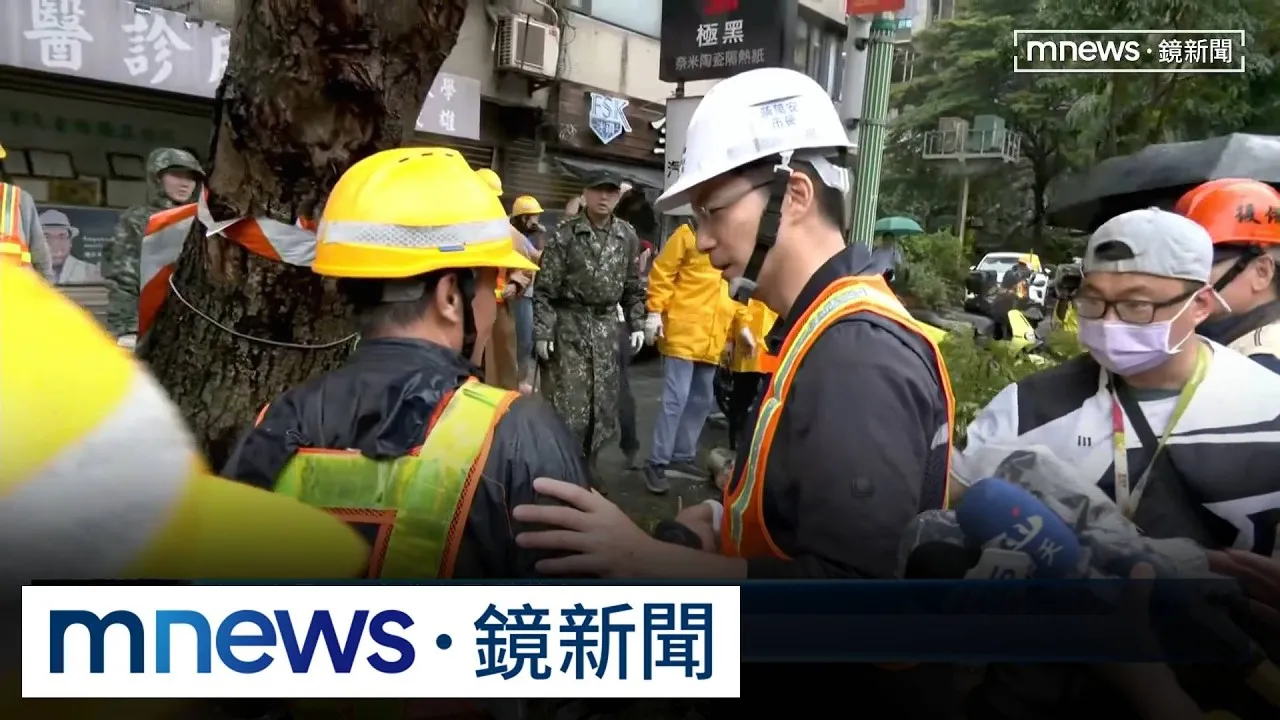 里長怨輿論讓市府不敢修剪路樹　蔣萬安：市民安全最重要