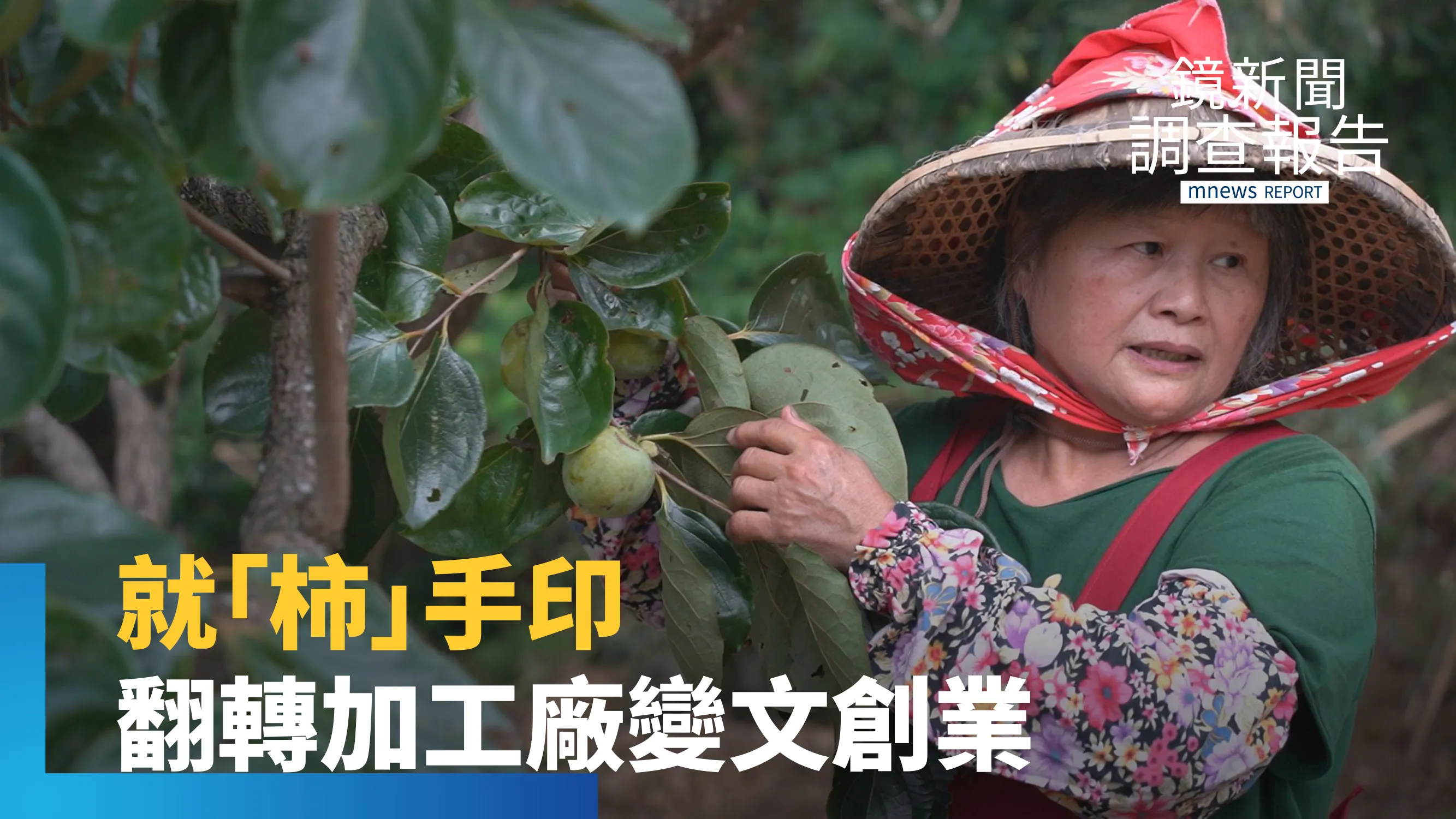 《玄奘大學深耕新埔》看天吃飯柿餅業困局！人力斷層、低價劣質品夾擊　看大學USR如何助旱坑柿餅傳統加工業逆境重生