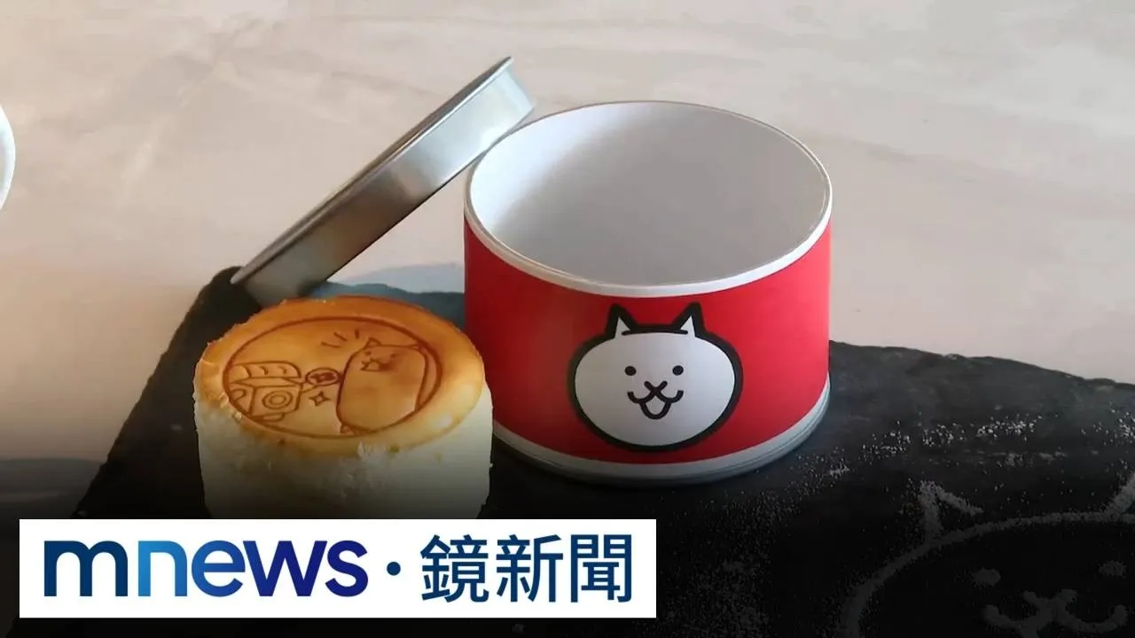 搶攻88商機！飯店聯名「貓咪大戰爭」、火鍋店打卡送肉