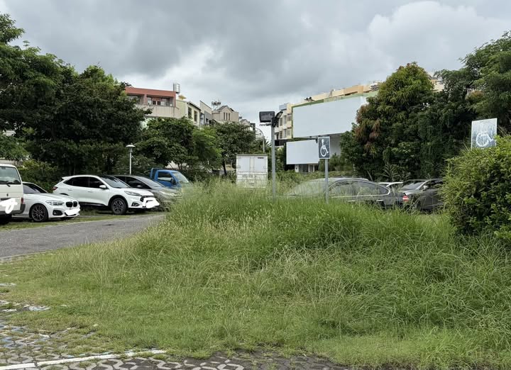 彰化市向陽停車場近期因連日降雨導致雜草叢生,民眾擔心會有蛇類竄入影響安全。(翻攝自臉書吳韋達)
