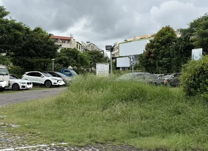 公所扯「鬼月不能除草」！彰化市長親自率隊打草　民俗專家：太長反而更容易卡陰