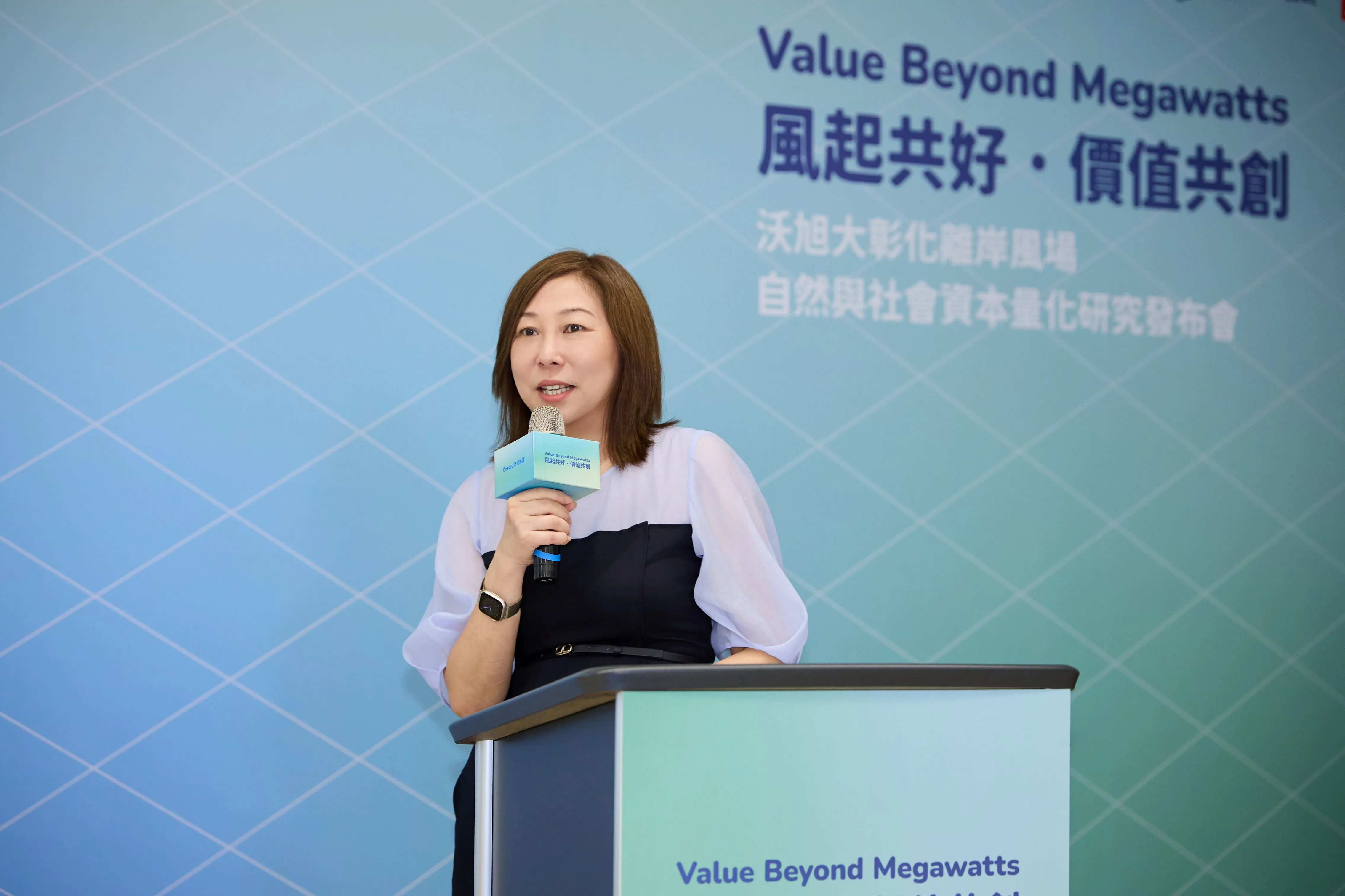 賴政府喊離岸風電2035年衝20GW     業界相挺：正面訊號