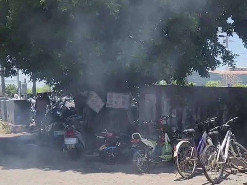 一名男子撿拾枯枝落葉生火烤魚,現場濃煙密布。(民眾提供)