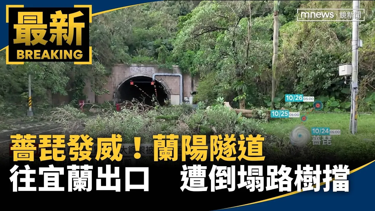 薔琵發威！蘭陽隧道往宜蘭出口　遭倒塌路樹擋