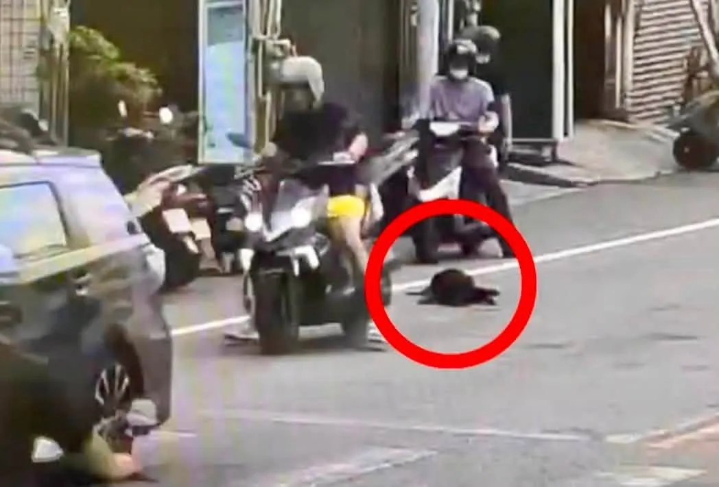 「小黑」慘遭拖行四肢磨破流血…橫紋肌溶解慘死　飼主惡行全曝光「動保所將究責」