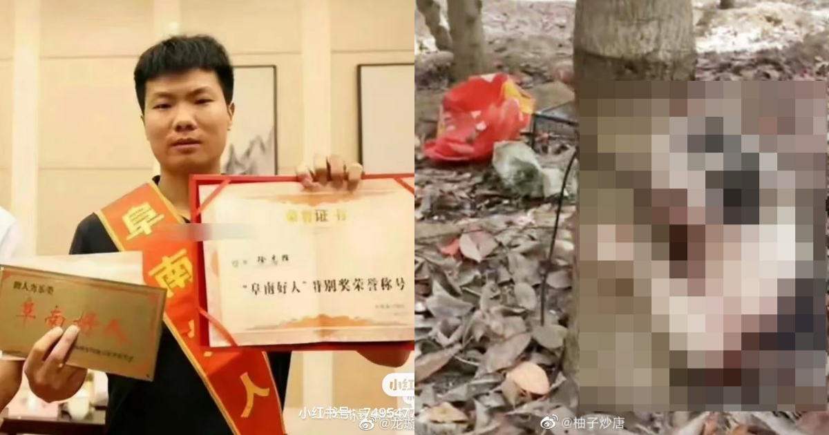 果汁機攪貓、綁樹上狂毆！傳虐貓網紅遭愛貓人士狂刺急送醫搶救　網喊：一報還一報