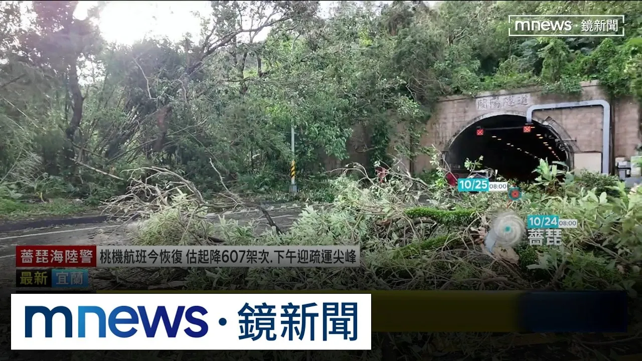 薔琵「掠過」南方澳災情頻傳！　樹倒險「堵死」蘭陽隧道