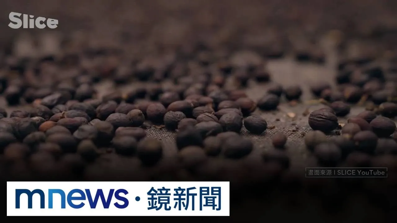 哥國經濟「大震盪」　全球供應約7%咖啡豆恐受影響