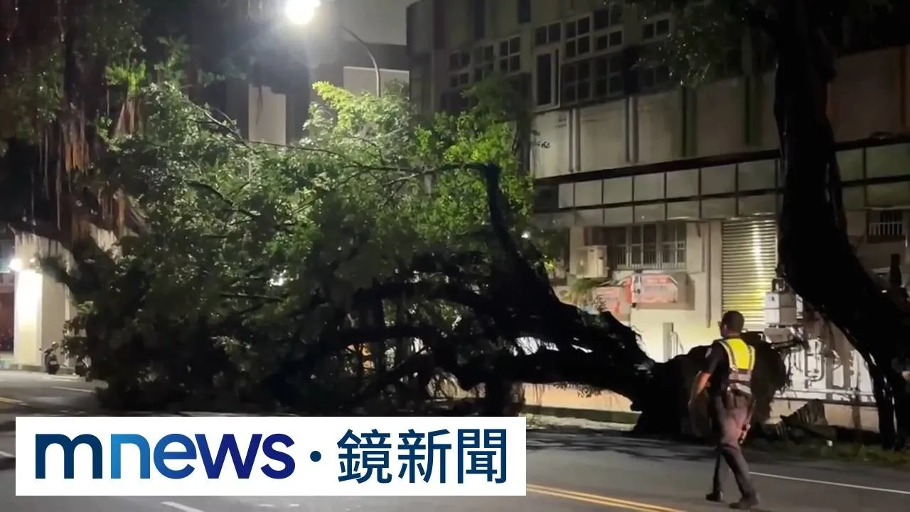 清理擋道樹枝　大樹突整株倒塌2警受困樹叢多處挫傷