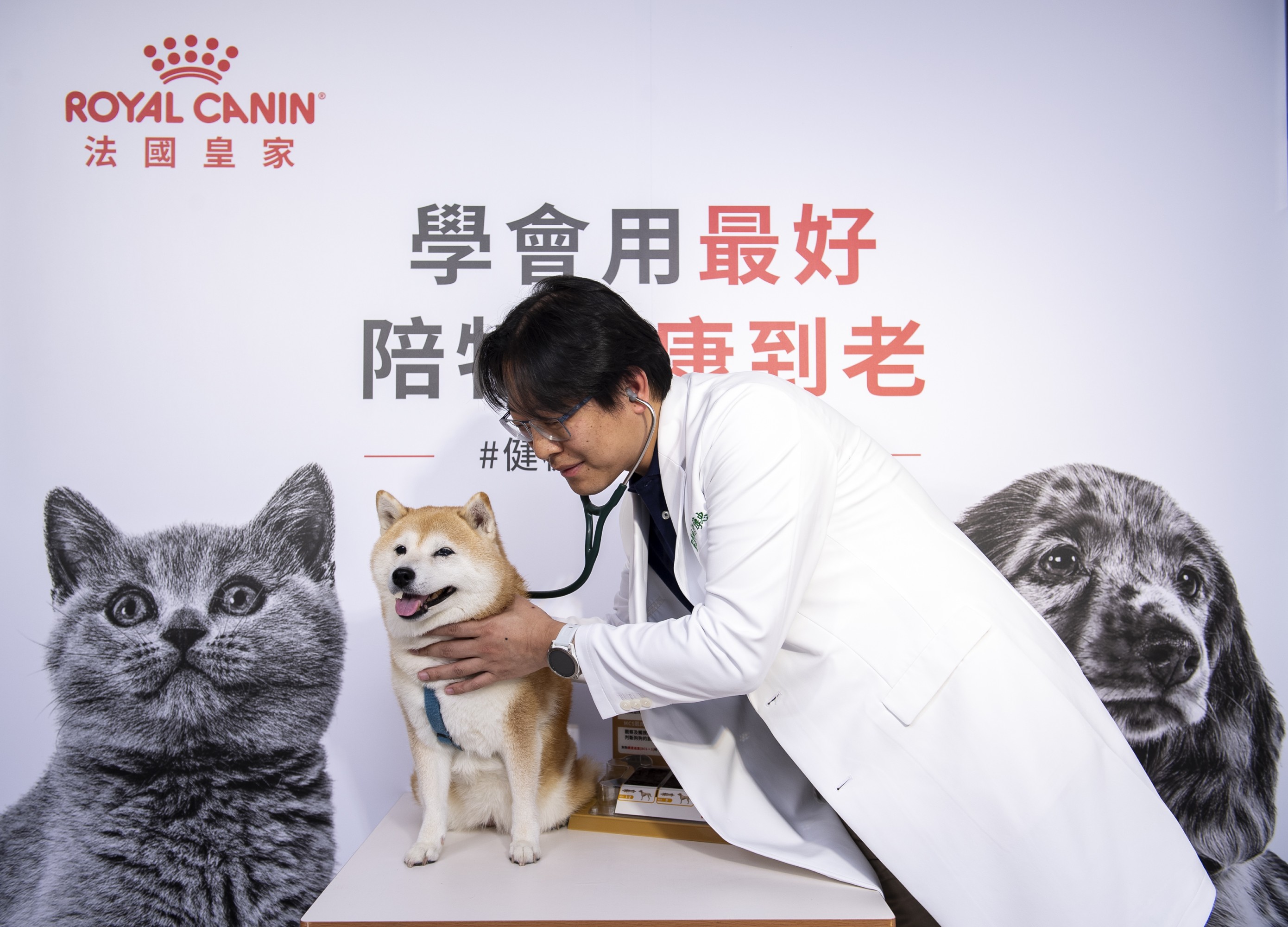 興沛動物醫院許傳忠院長指出,定期健檢不只是為了找出疾病,更是為了及早建立專屬的健康基準,日後身體一旦出現變化,獸醫師就能進行比對並及時治療。(法國皇家提供)