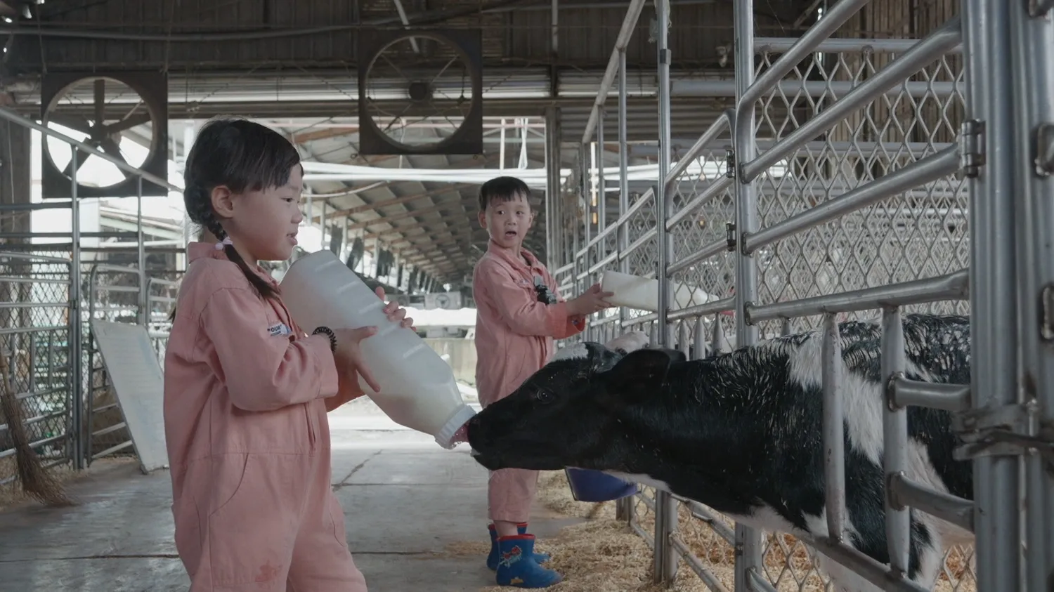 餵食寵物蛇、幫巨蜥剪指甲      《歡迎光臨我的牧場》直擊動物照顧日常
