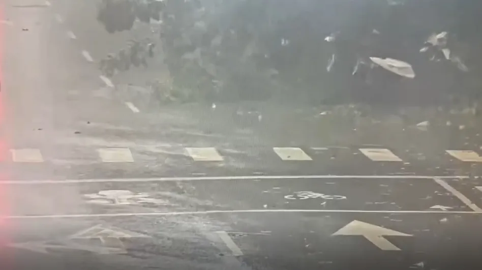 驚悚瞬間曝光！薔琵颱風來襲「狂風暴雨炸台」　路樹倒塌「汽車、機車慘遭波及」
