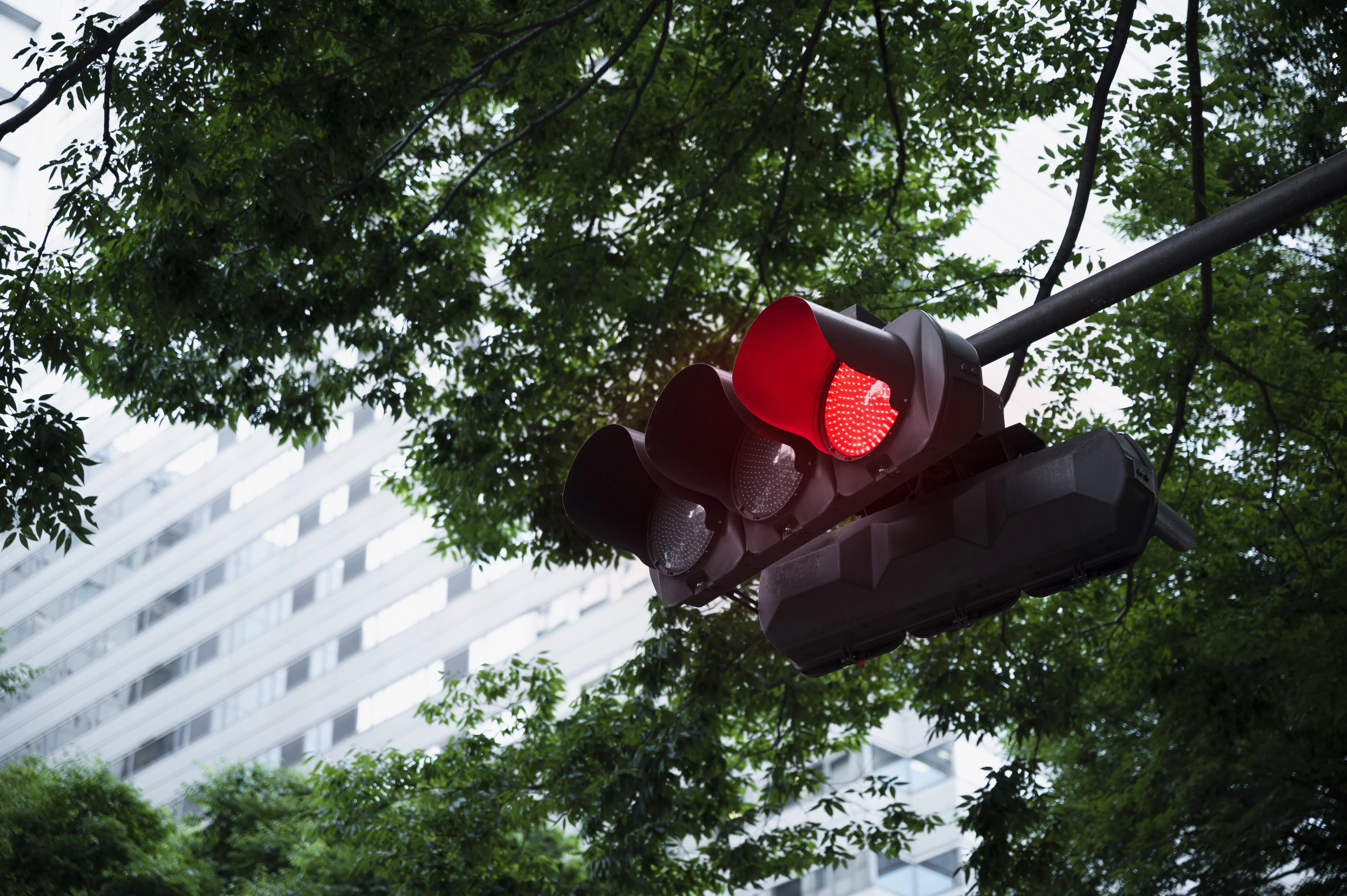停紅燈用手機被開單3千！小黃運將辯「網路用完連Wi-Fi」　1行為遭判敗訴