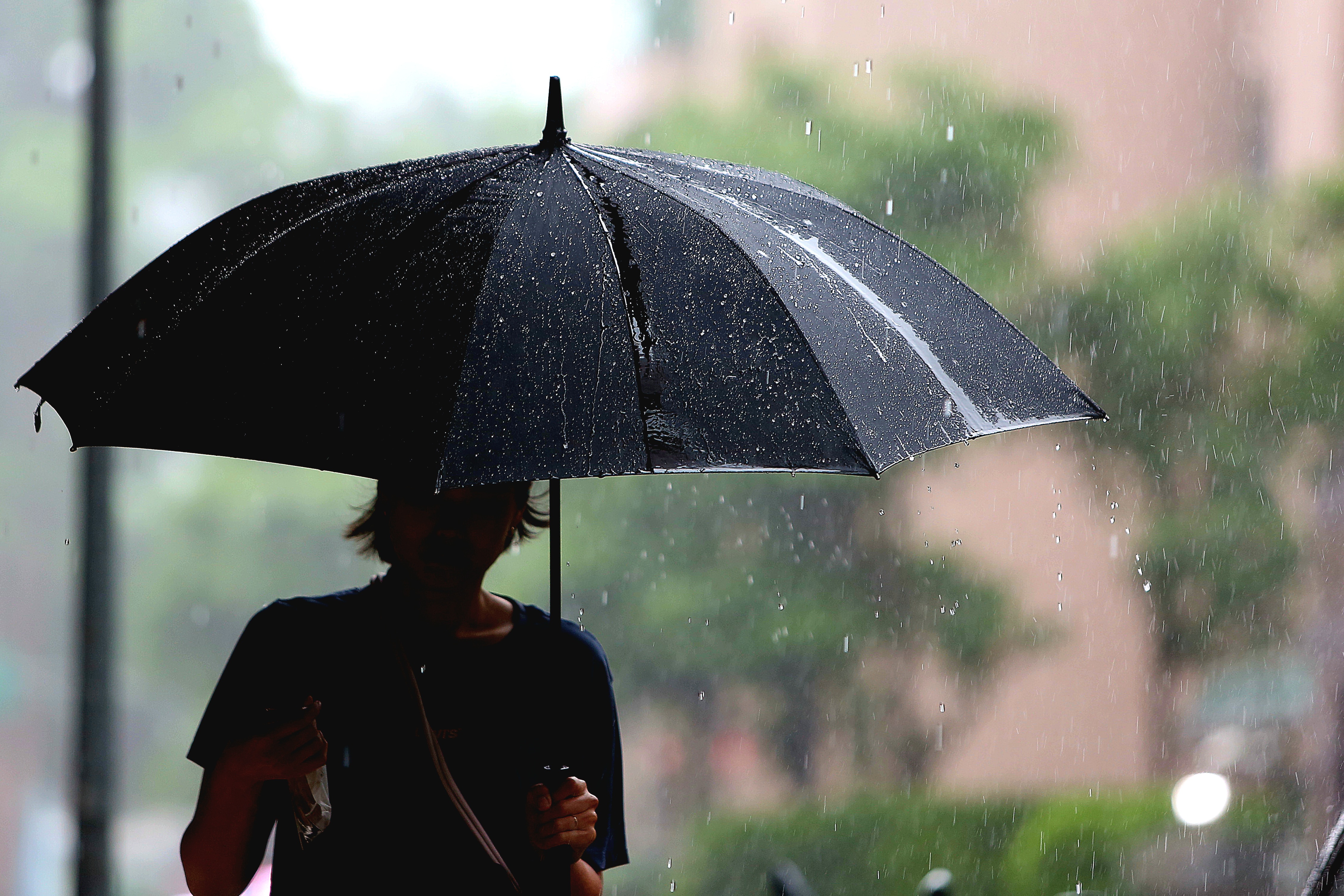 受到西南風及鋒面影響,全台今天都有明顯雨勢。(鏡報姜永年)
