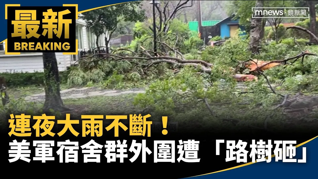 連夜大雨不斷！　美軍宿舍群外圍遭「路樹砸」