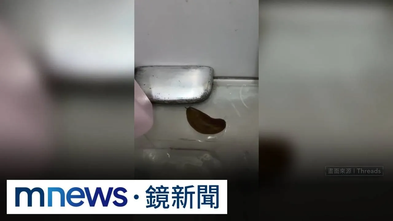 手搖飲內竟有「蛞蝓」　消費者嚇：喉嚨感覺滑滑的