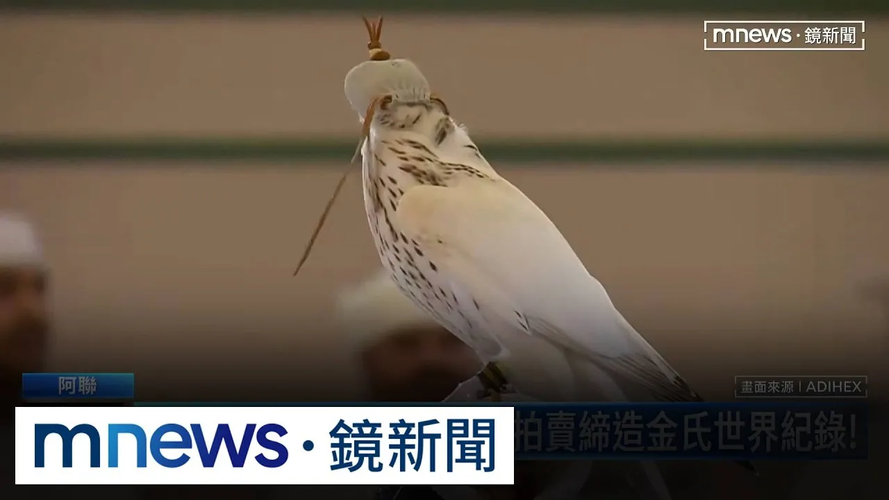 中東千金砸1290萬標下純白獵鷹！？　真相超乎外界想像