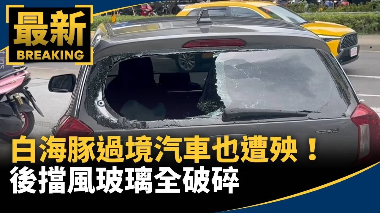白海豚過境汽車也遭殃！　後擋風玻璃全破碎