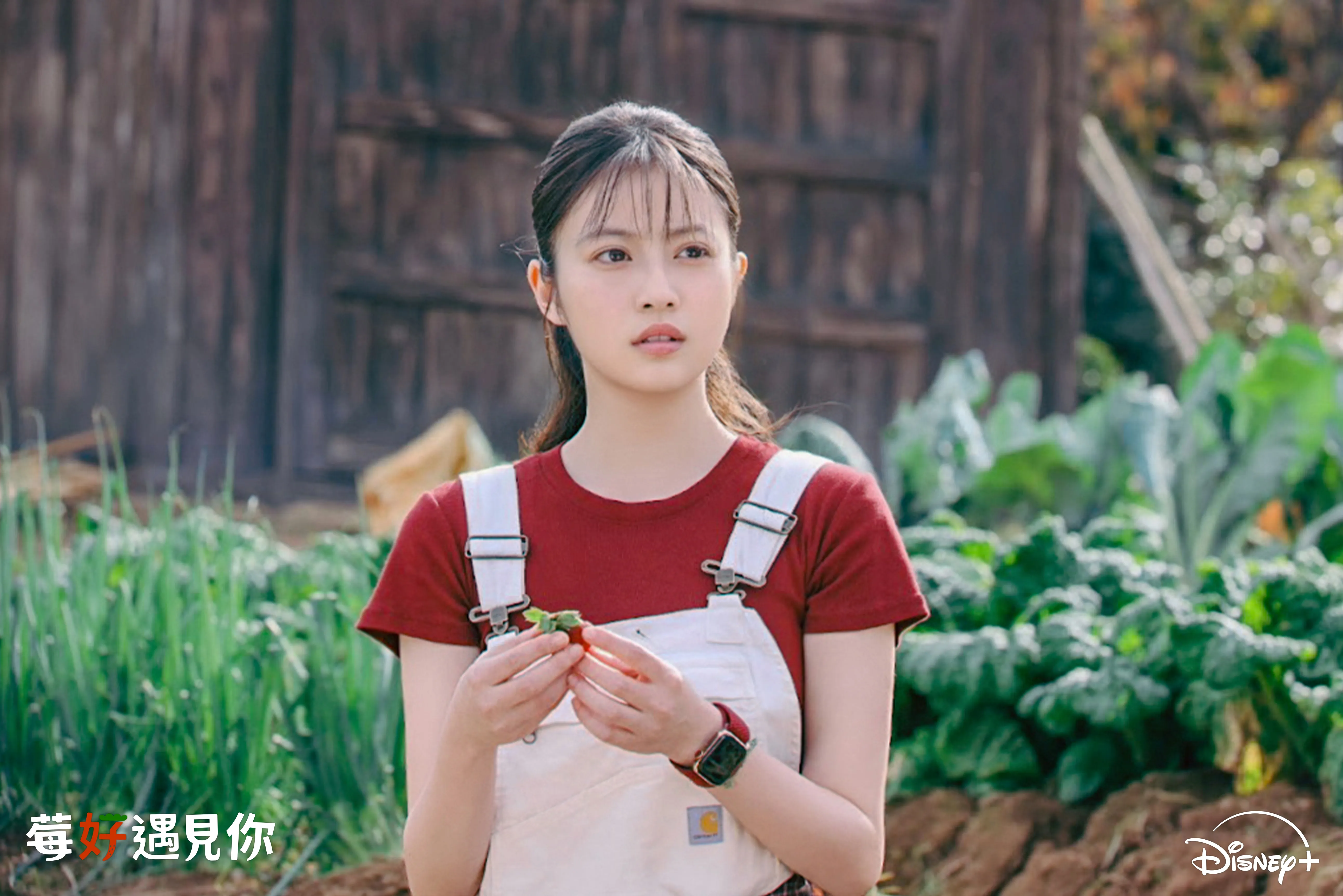 池昌旭偷吃草莓害「福岡第一美少女」昏倒　爆笑擁抱意外擦出戀愛火花
