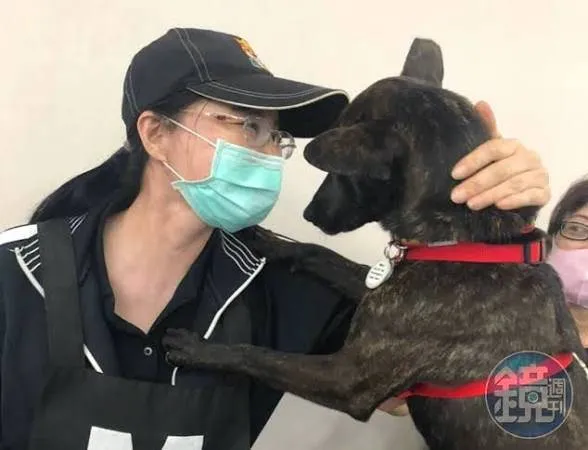 告發搜救犬Wilson死亡疑雲　議員候選人：若意外訓練員為何遭指控施暴、懲處調職？