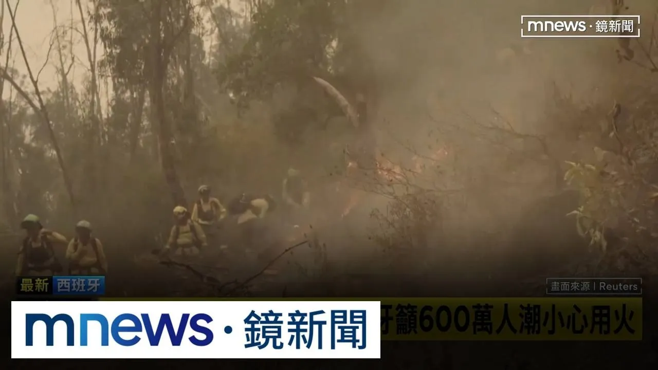 歐洲多國飽受乾旱、高溫之苦　海德公園乾成黃褐色
