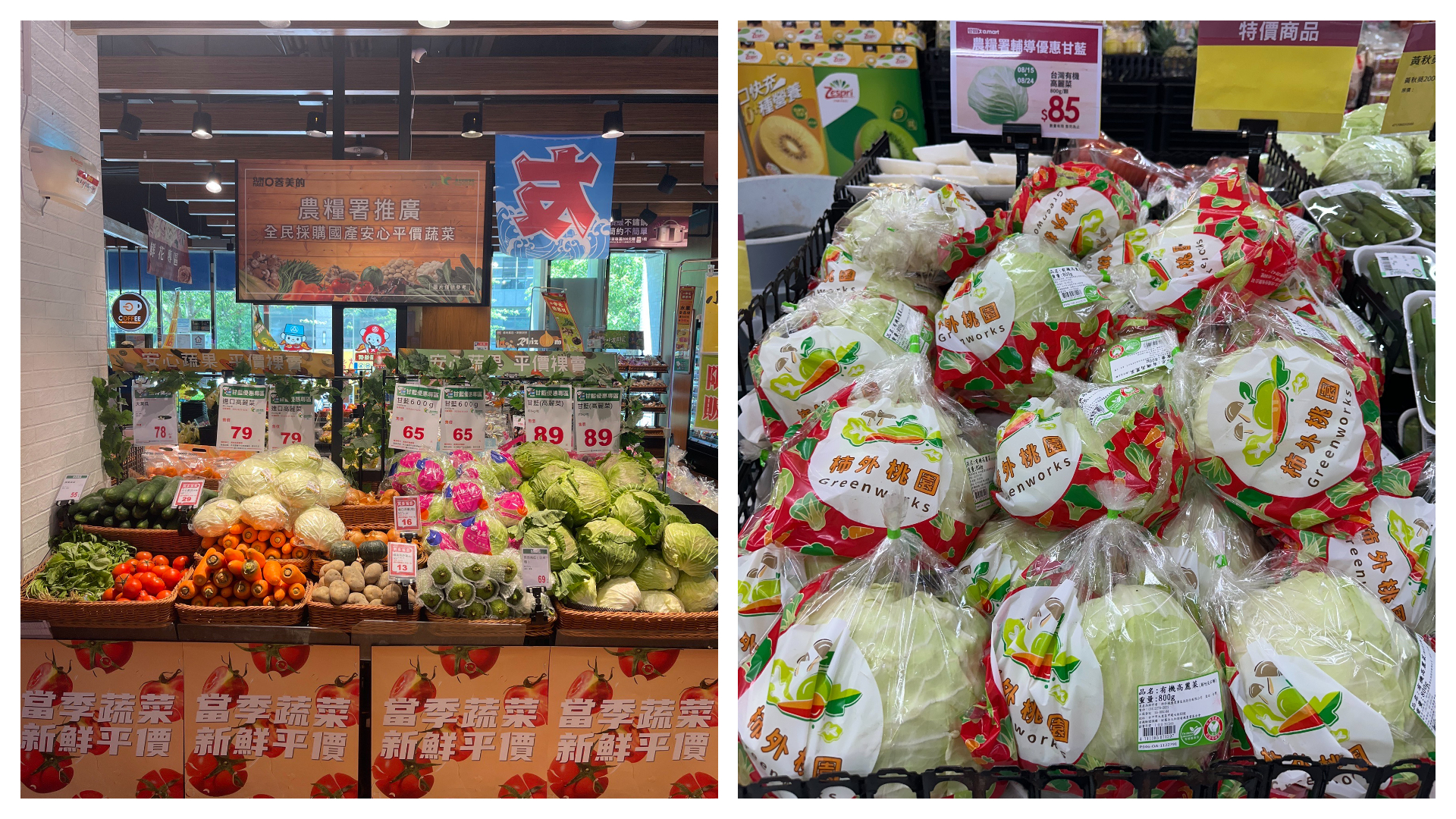 為穩定蔬菜供應,農糧署加強啟動蔬菜優惠措施,明日起於賣場推出甘藍每粒不超過90元的優惠,全聯也設置平價蔬菜優惠。(農糧署提供)