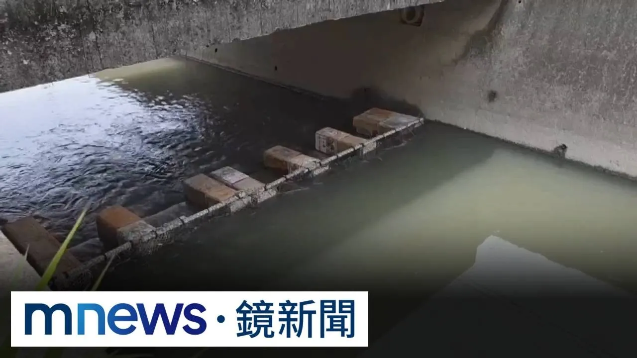 排水溝驚見「沙拉油桶」攔水壩　居民憂颱風釀水患