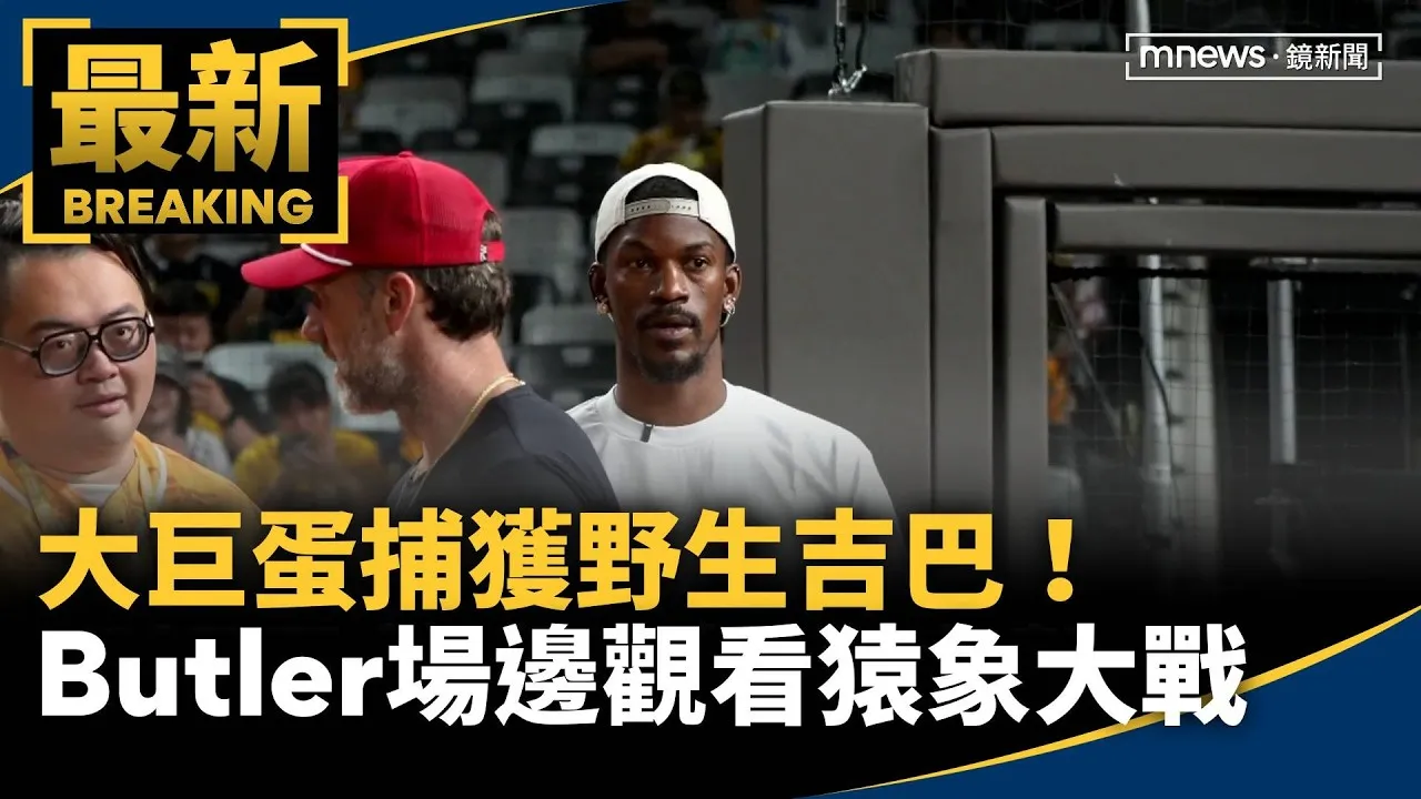 大巨蛋捕獲野生吉巴！　Butler場邊觀看猿象大戰