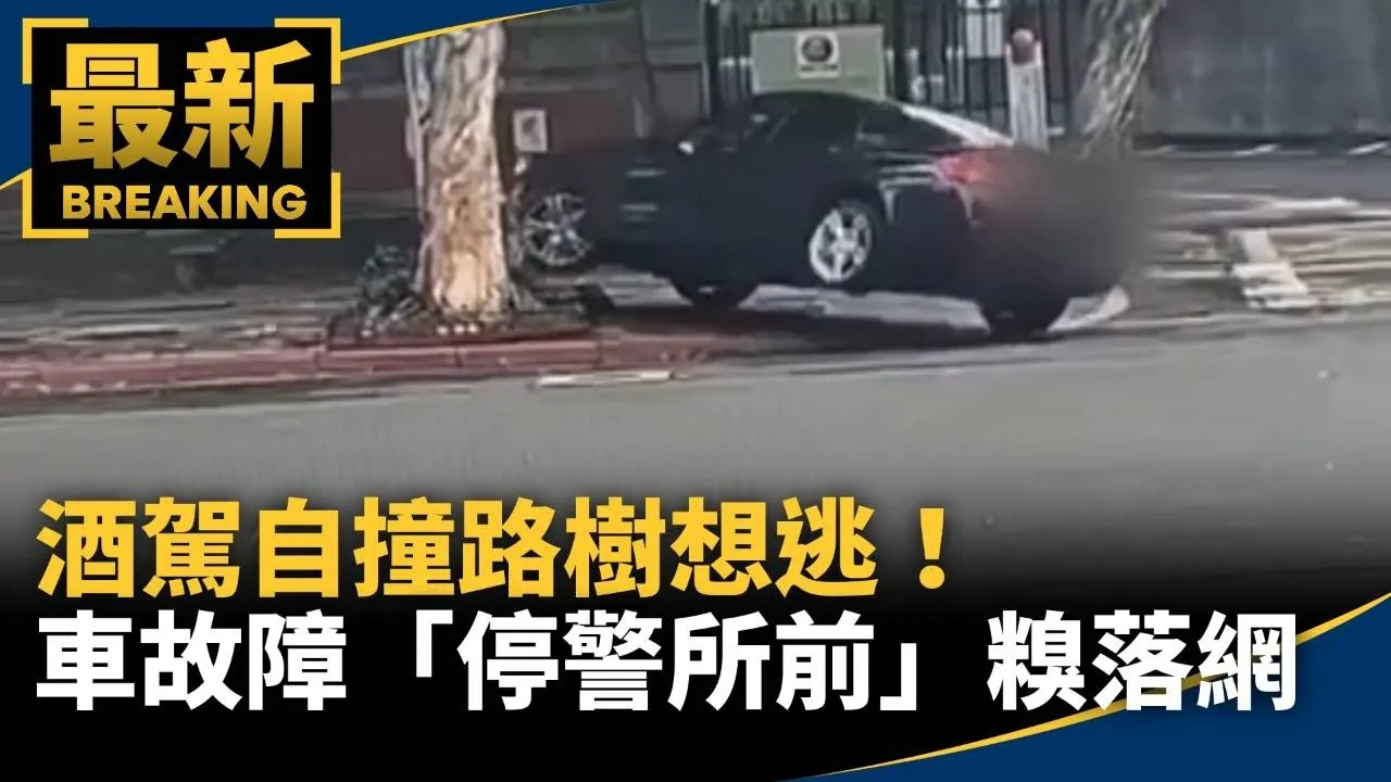 酒駕自撞路樹想逃！　車故障「停警所前」糗落網