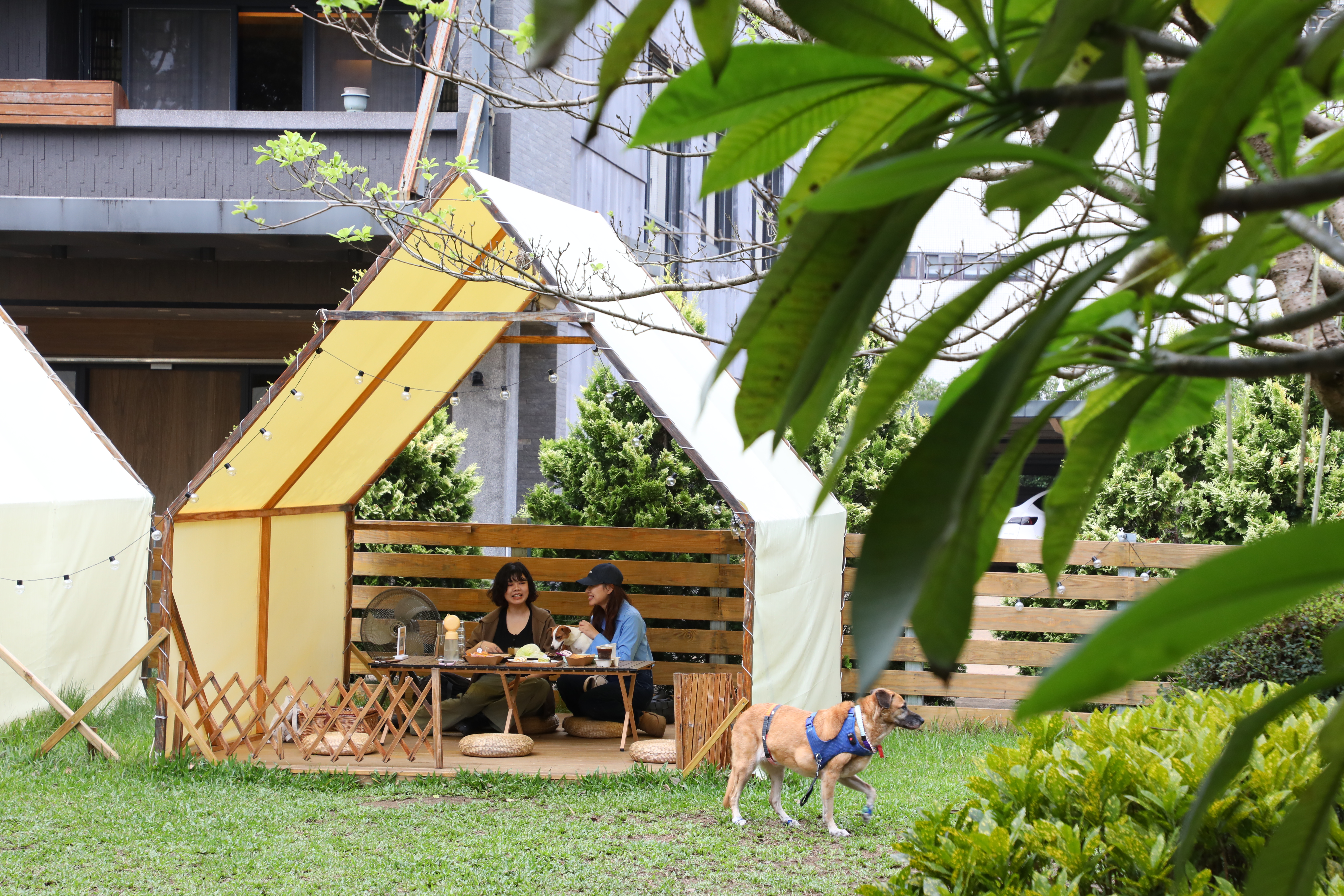 「Nose.Y Café 諾奇意咖啡」戶外設有白色帳篷座位區,結合露營風格與咖啡廳氛圍,是桃園超人氣的寵物友善餐廳。