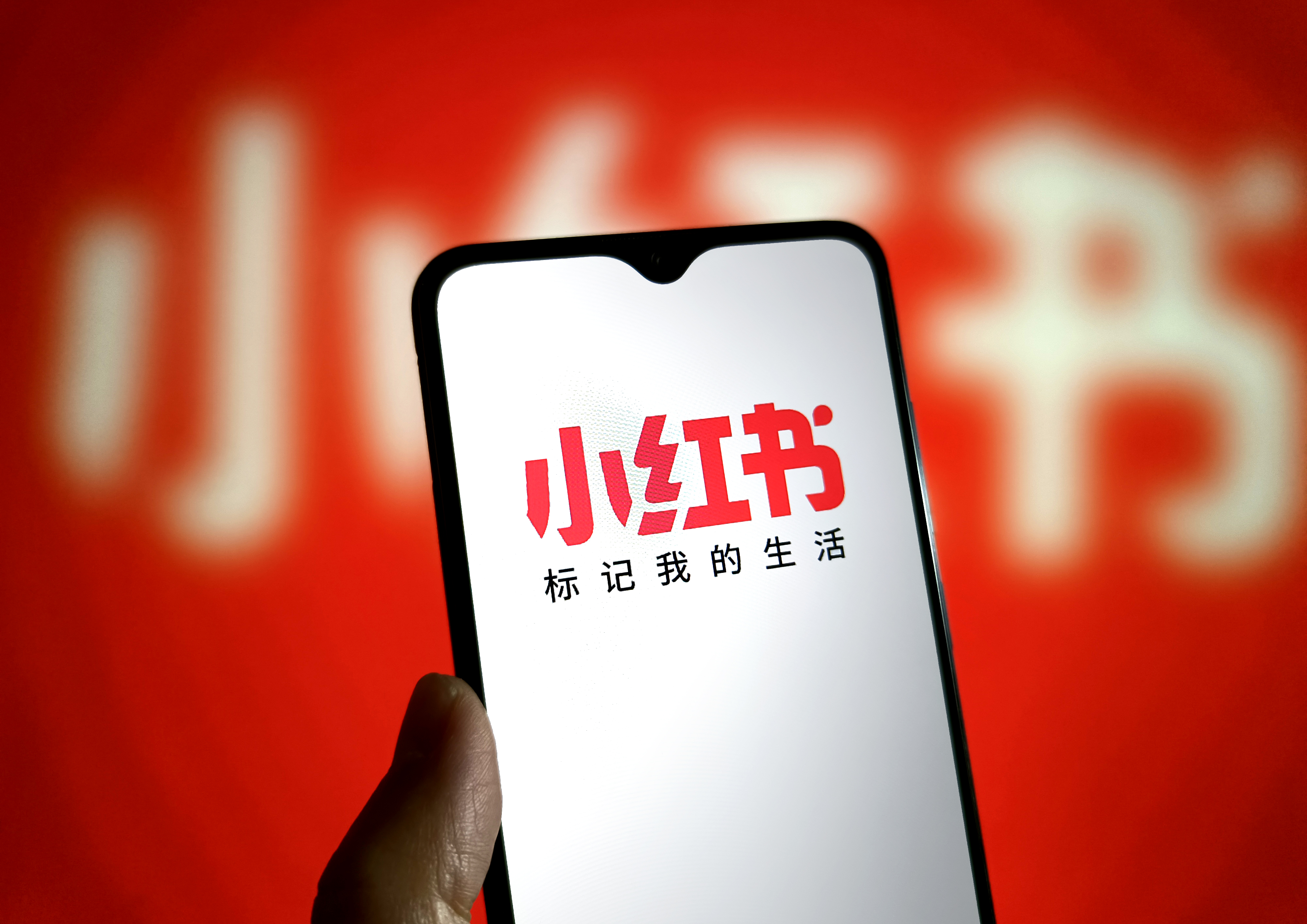 「小紅書」APP自113年迄今已涉入1,706件詐騙案件,造成財損達2億4,768萬餘元。(東方IC)